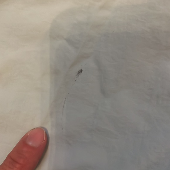 Properly Tied Solis Shorts - Picture 2 of 5